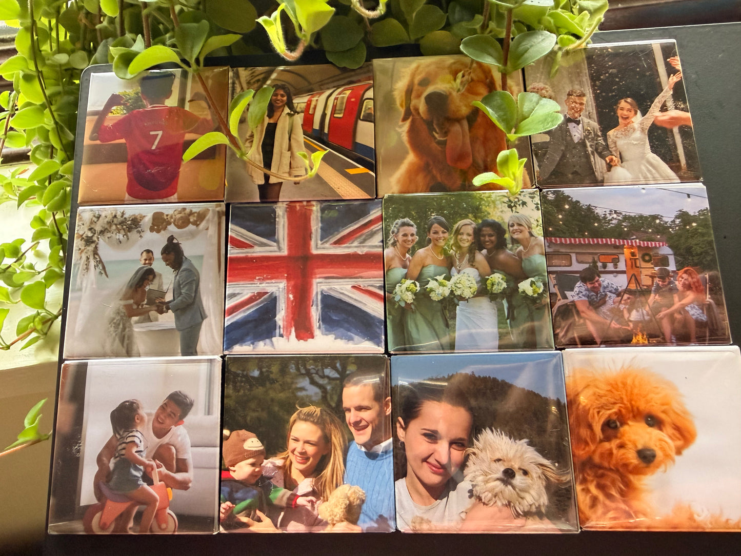 Custom Fridge Magnets (Pack of 6)